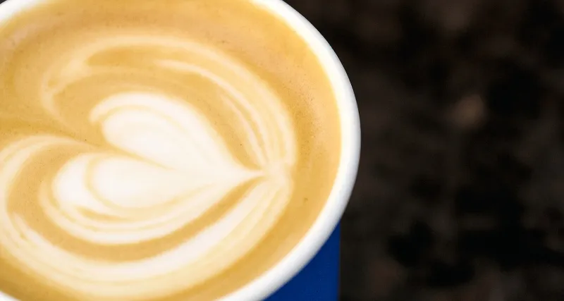 Professional working in their environment