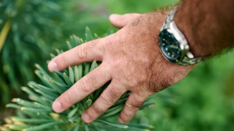 Relaxed branding photography