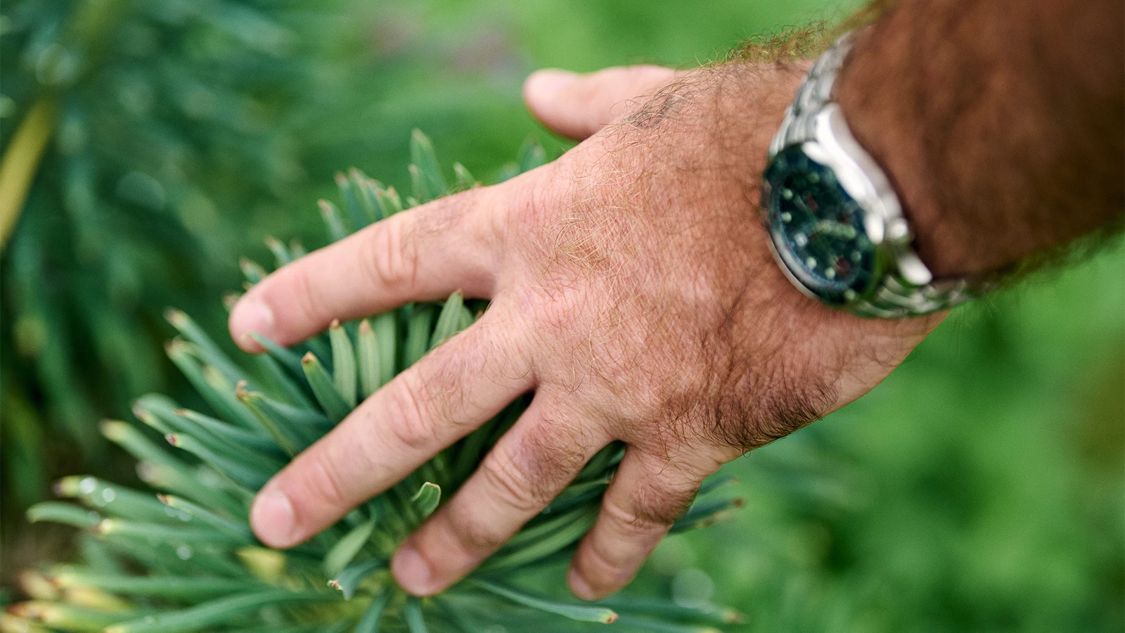 Benjamin White touching grass - a metaphor for staying grounded in the digital age