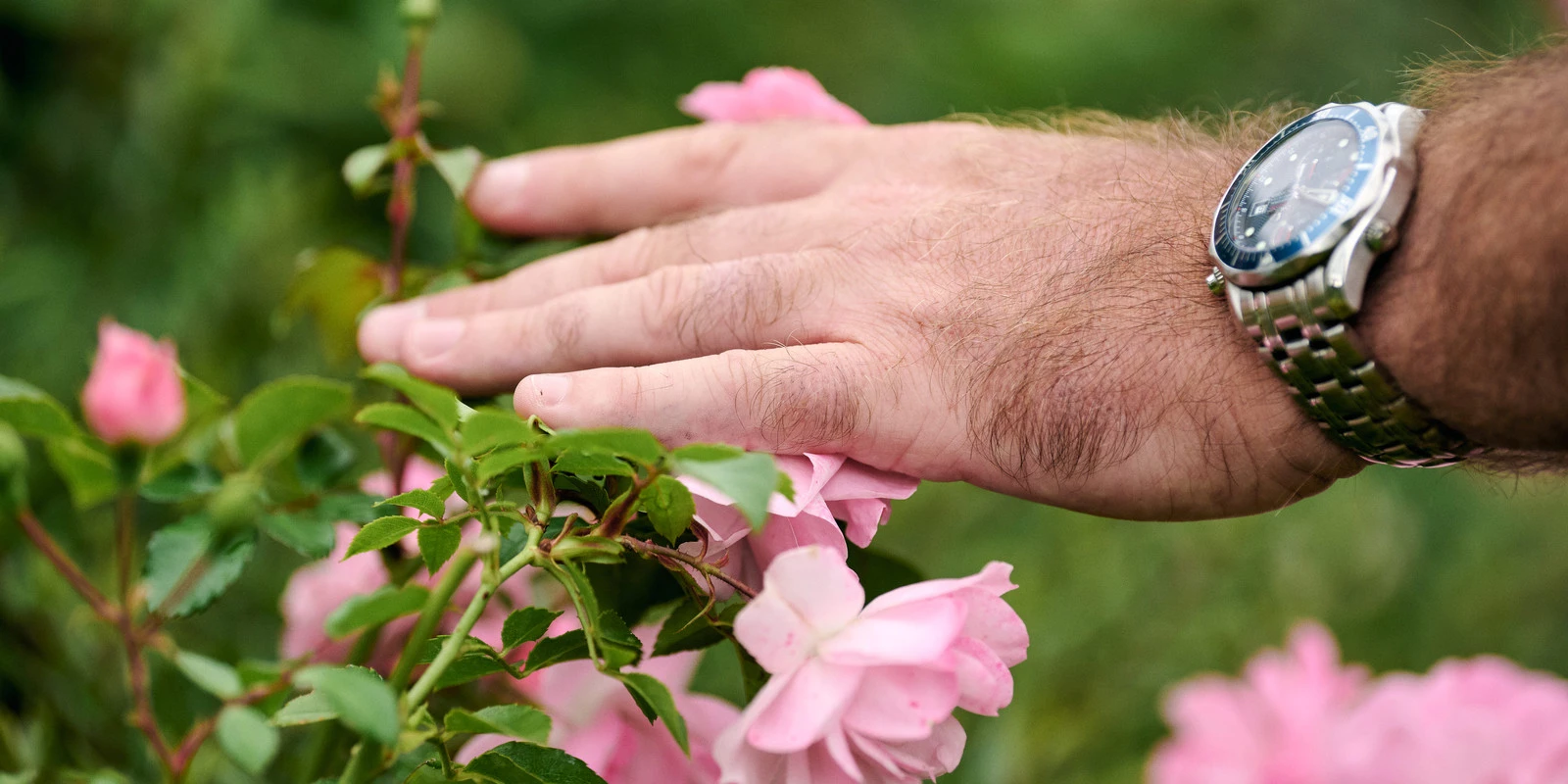 Man photographed outdoors in natural surroundings during a creative personal branding session
